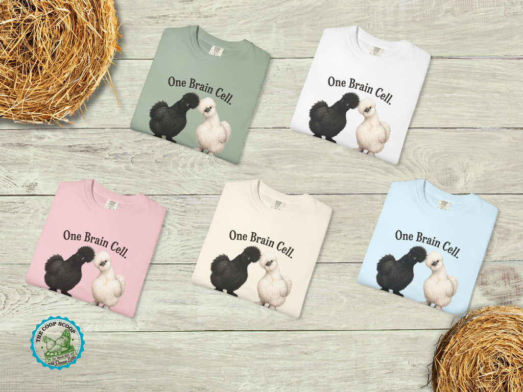 One Brain Cell Shared Custody Chicken Shirt, Funny Silkie Chicken Tee, Chicken Lover Gift, Fluffy Hen Shirt, Chicken Mom Gift