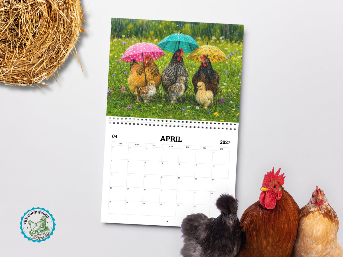 The Coop Scoop 2027 Chicken Calendar, Funny Chicken Wall Calendar, Chicken Lover Gift, Farmhouse Hen Decor