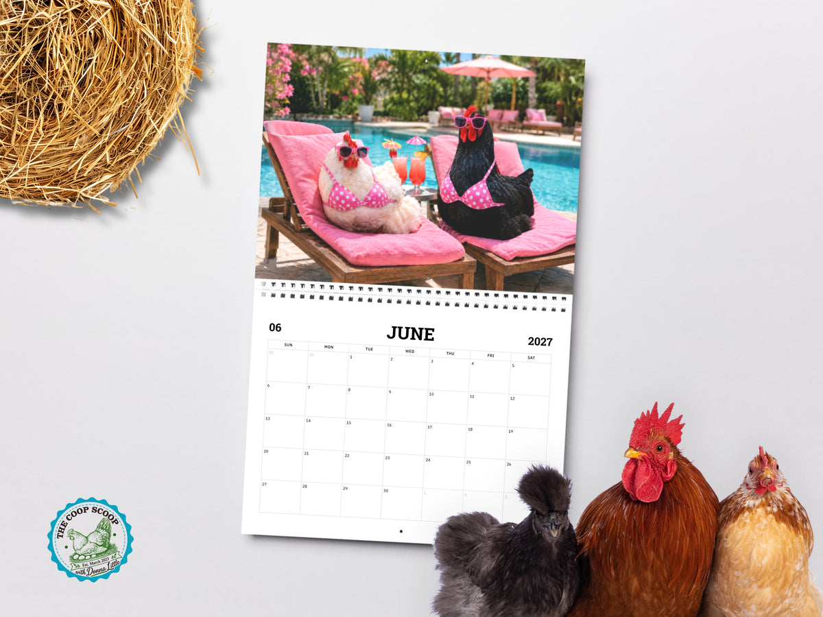 The Coop Scoop 2027 Chicken Calendar, Funny Chicken Wall Calendar, Chicken Lover Gift, Farmhouse Hen Decor