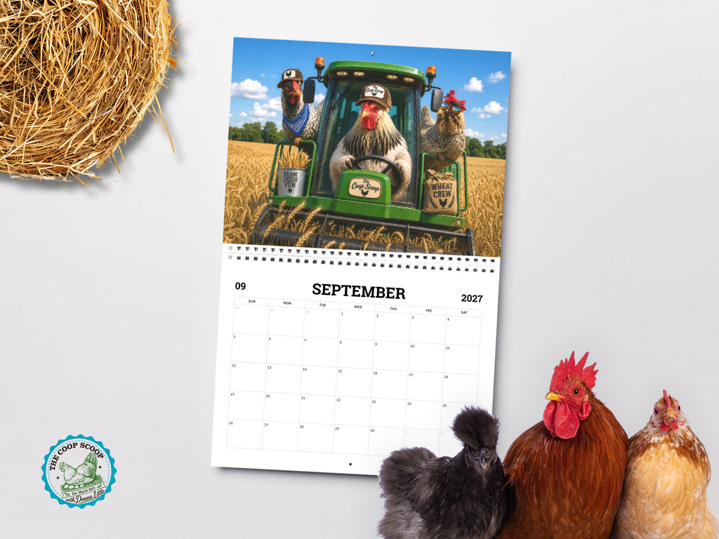 The Coop Scoop 2027 Chicken Calendar, Funny Chicken Wall Calendar, Chicken Lover Gift, Farmhouse Hen Decor