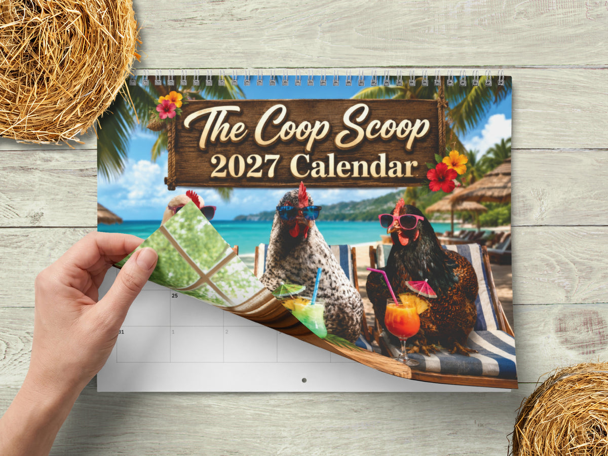 The Coop Scoop 2027 Chicken Calendar, Funny Chicken Wall Calendar, Chicken Lover Gift, Farmhouse Hen Decor