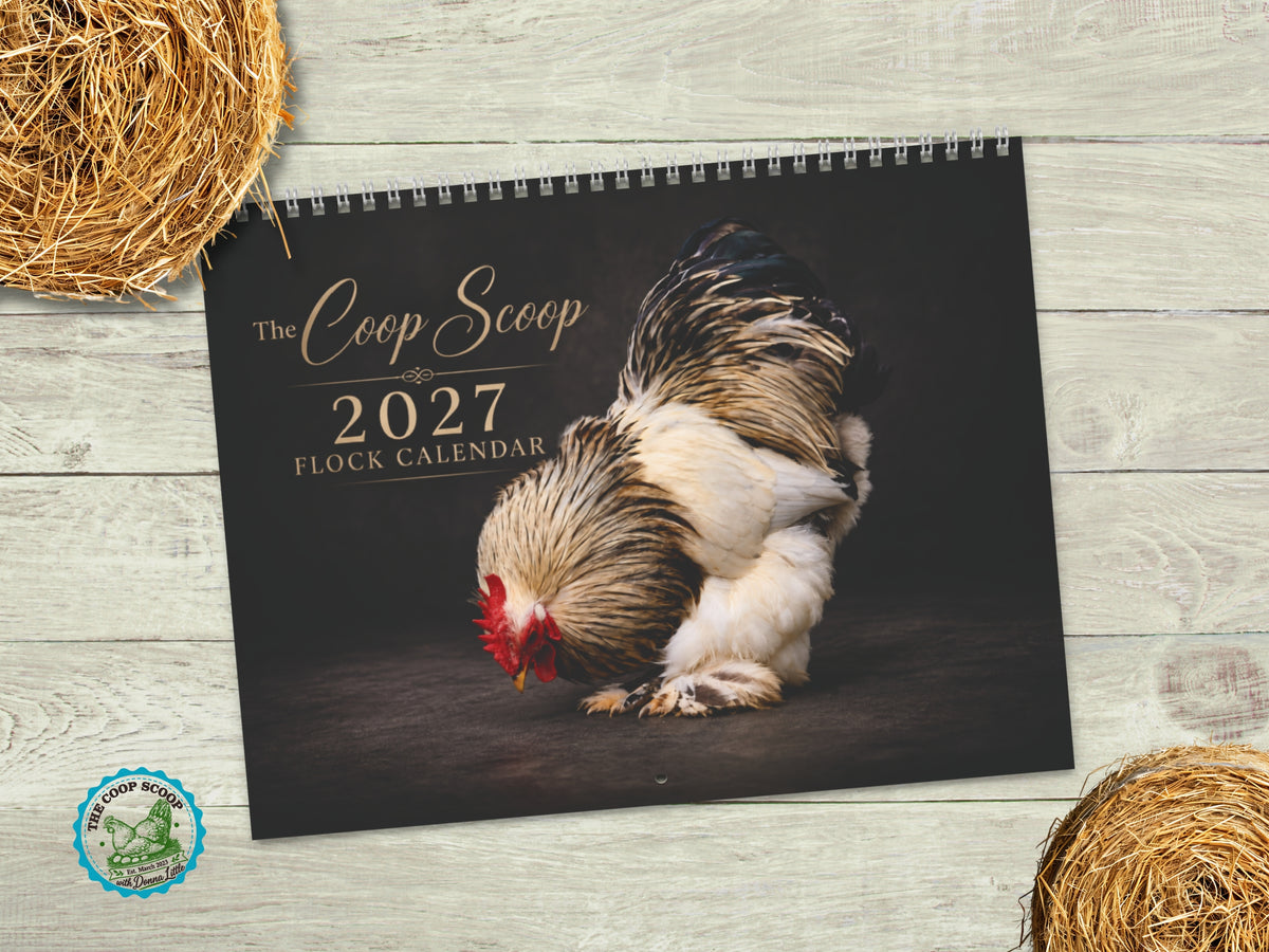 The Coop Scoop 2027 Chicken Calendar, Realistic Chicken Photography, Backyard Flock Wall Calendar, Chicken Lover Gift