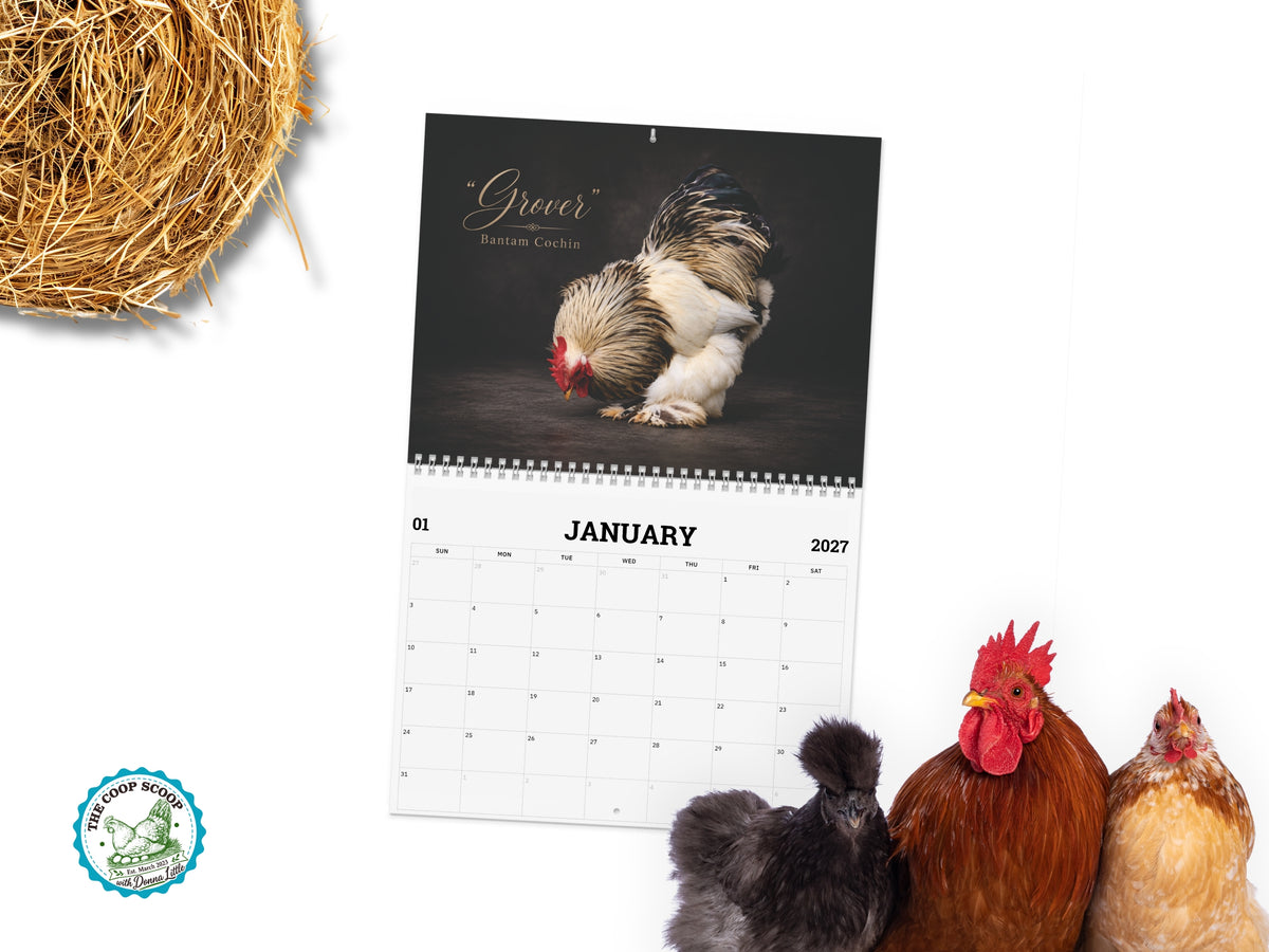 The Coop Scoop 2027 Chicken Calendar, Realistic Chicken Photography, Backyard Flock Wall Calendar, Chicken Lover Gift
