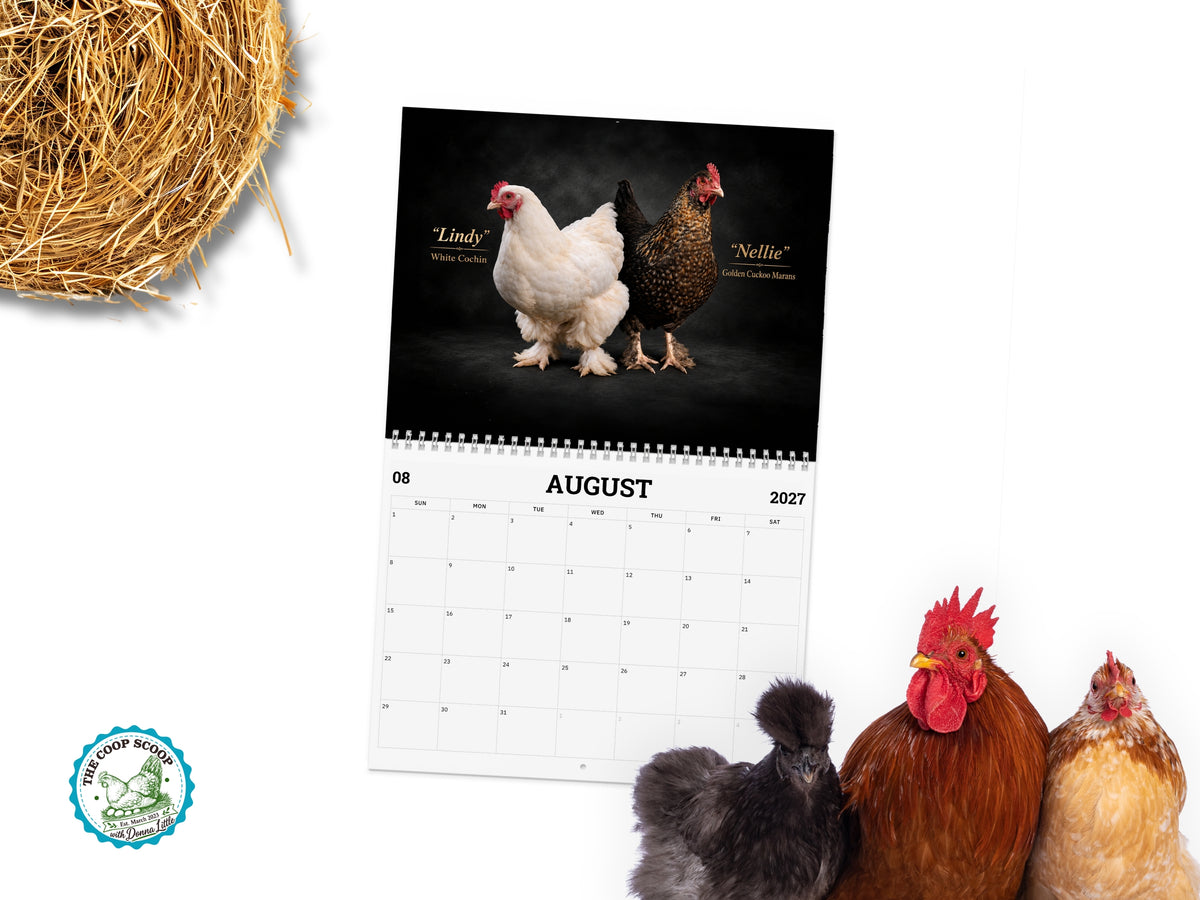 The Coop Scoop 2027 Chicken Calendar, Realistic Chicken Photography, Backyard Flock Wall Calendar, Chicken Lover Gift