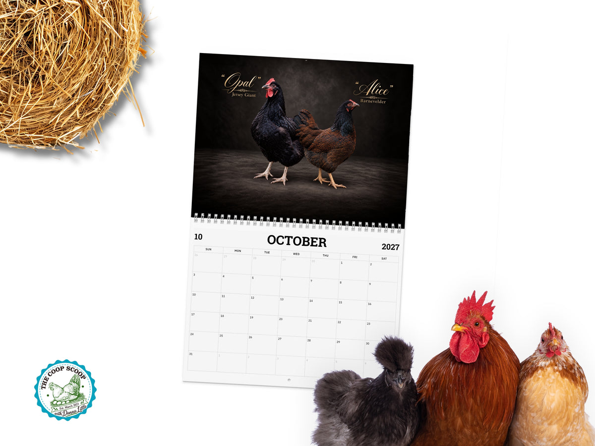 The Coop Scoop 2027 Chicken Calendar, Realistic Chicken Photography, Backyard Flock Wall Calendar, Chicken Lover Gift