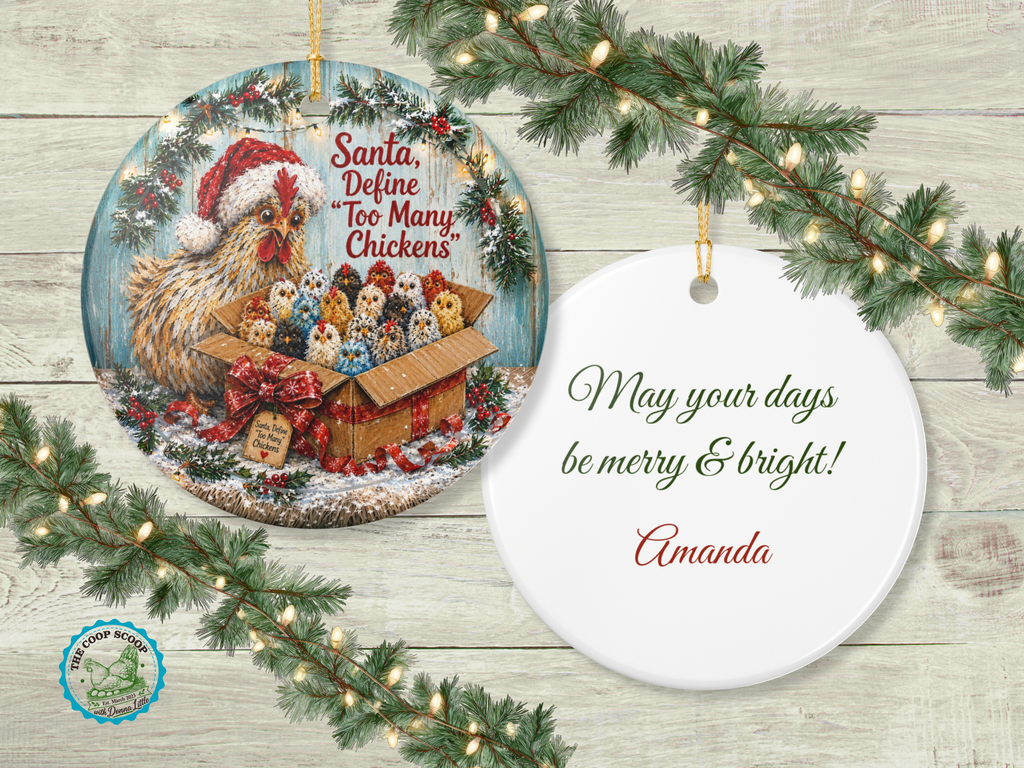 Chicken Christmas Ornament, Personalized Chicken Lover Gift, Funny Hen Holiday Ornament, Farmhouse Christmas Decor, Custom Xmas Message
